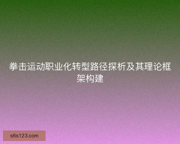 拳击运动职业化转型路径探析及其理论框架构建 拳击运动职业化转型路径探析及其理论框架构建