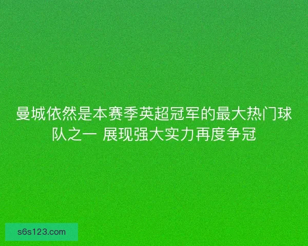 曼城依然是本赛季英超冠军的最大热门球队之一 展现强大实力再度争冠